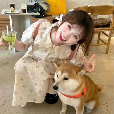 哈林夜总会